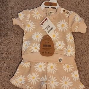 0-3 Months Baby Girl Daisy Print Outfit - Cream